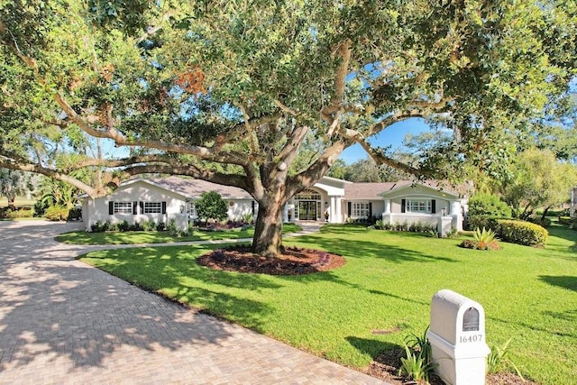 ranch-style house featuring a front lawn