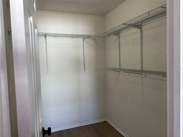 spacious closet featuring dark wood-type flooring