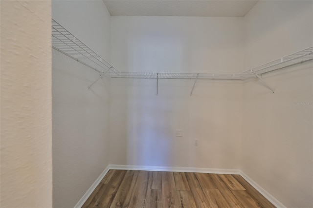 walk in closet with hardwood / wood-style floors