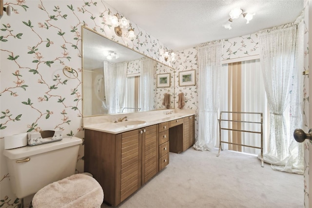 bathroom featuring plenty of natural light, vanity, and a textured ceiling