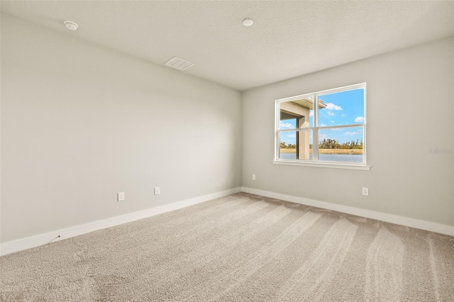 unfurnished room with carpet flooring and a textured ceiling