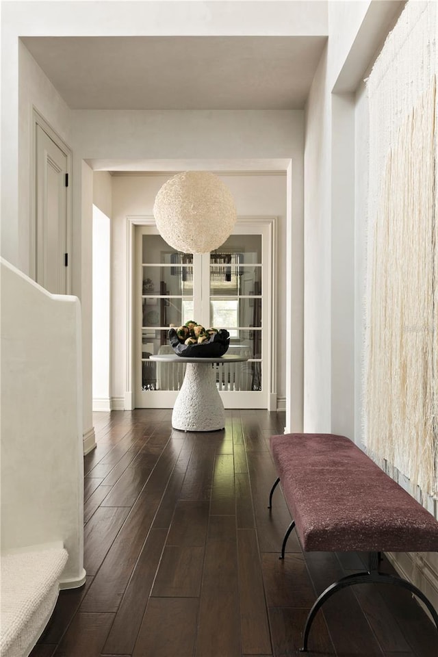 corridor with dark hardwood / wood-style flooring