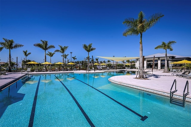 17901 Solstice Ave, Venice, FL 34293 - community pool featuring a patio area