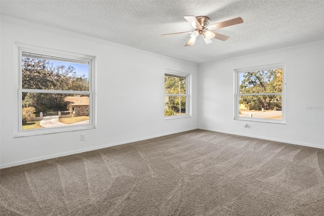 carpeted empty room with a textured ceiling, plenty of natural light, ornamental molding, and ceiling fan