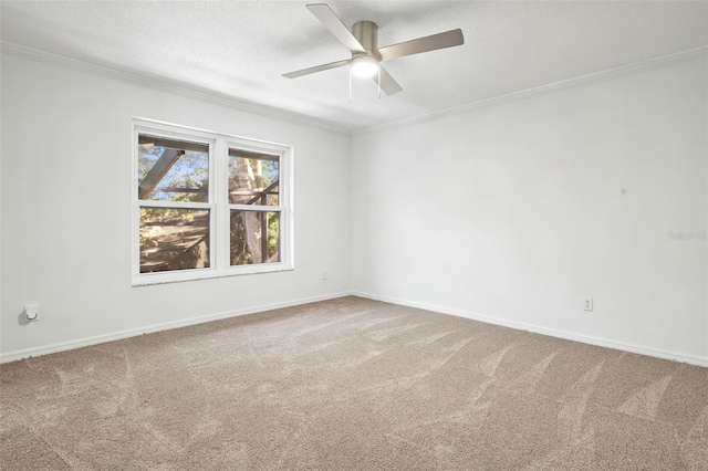 spare room with carpet floors, ceiling fan, and ornamental molding