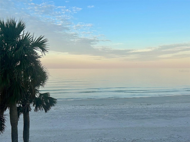 1660 S Lake Ave Unit 1, Clearwater, FL 33756 - water view