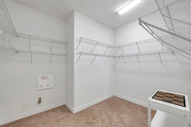 walk in closet with carpet