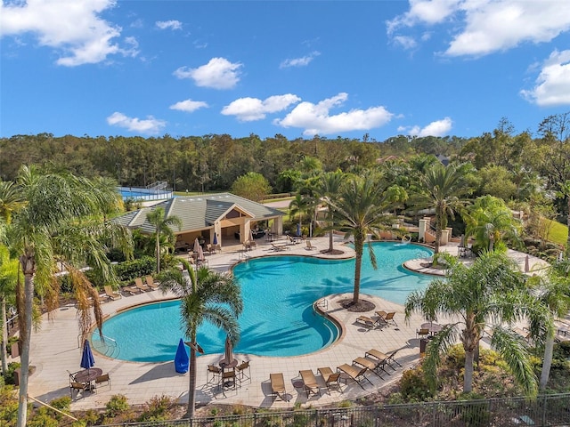 view of pool with a patio