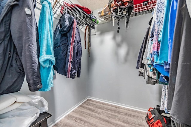 spacious closet featuring hardwood / wood-style flooring