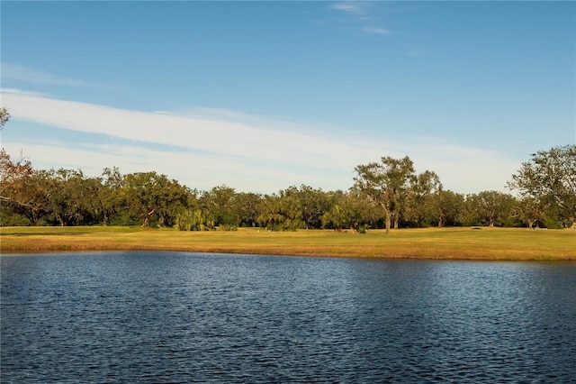 1506 Bentwood Dr, Sun City Center, FL 33573 - photo 37