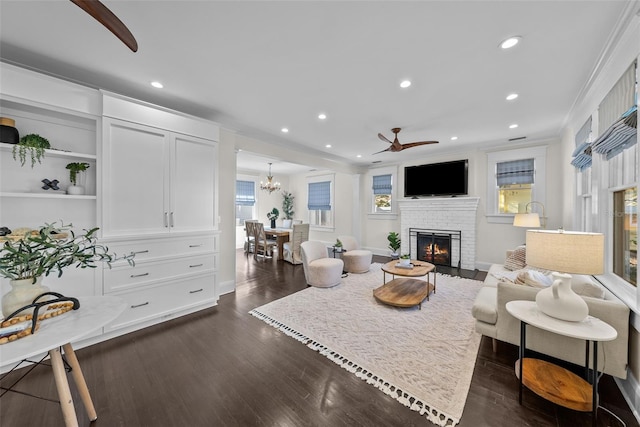 living room with a fireplace, ceiling fan with notable chandelier, crown molding, and dark wood-type flooring