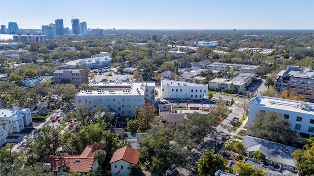 bird's eye view