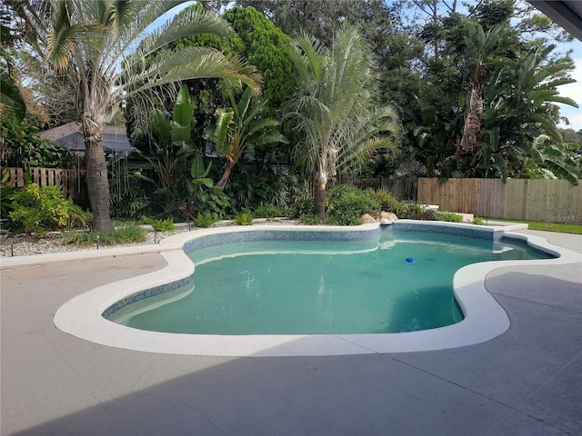 view of swimming pool