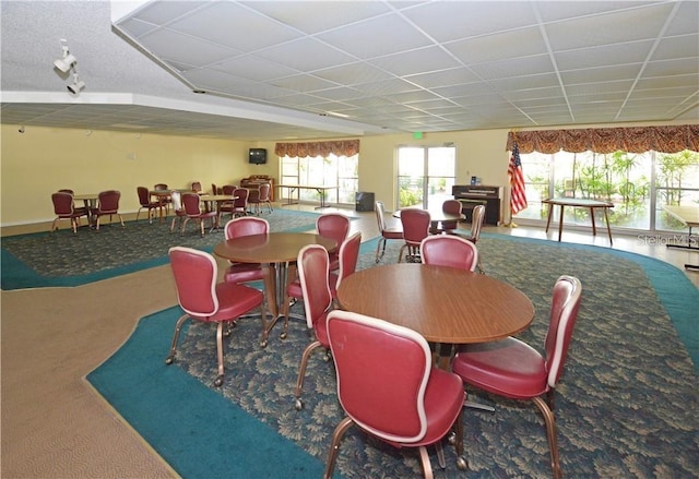 dining room featuring a paneled ceiling and carpet flooring