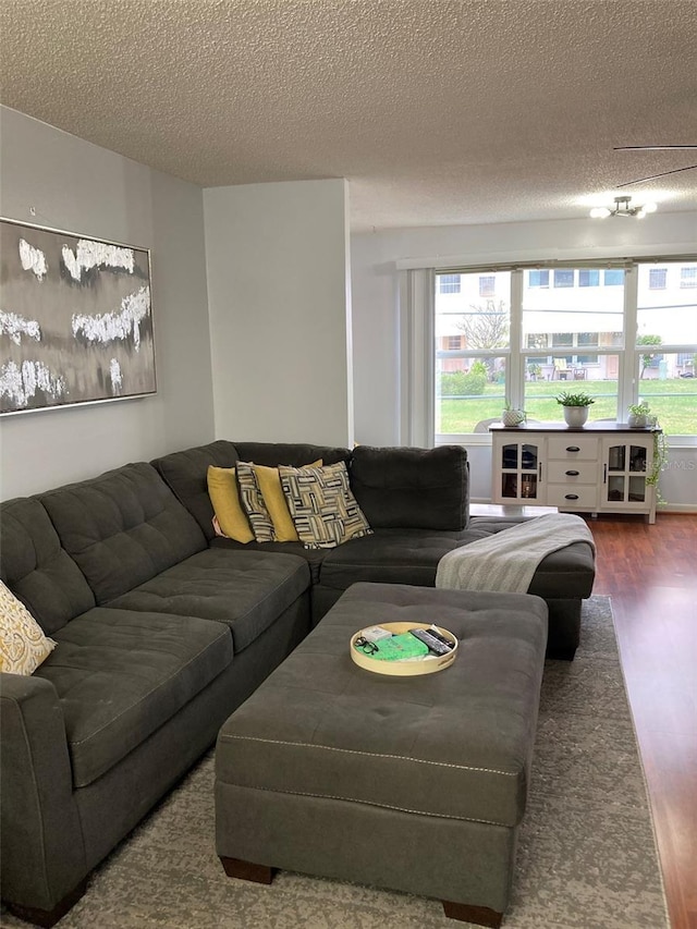 living room featuring hardwood / wood-style floors and a textured ceiling