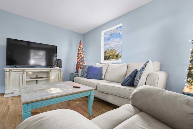 living room with hardwood / wood-style flooring