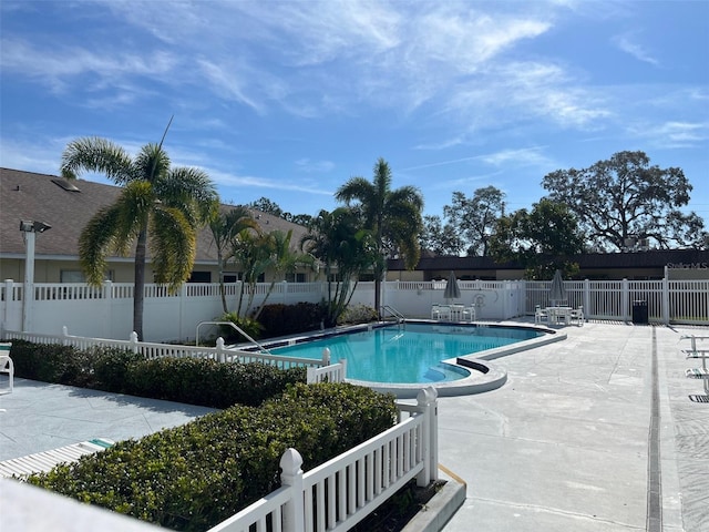 view of swimming pool with a patio area