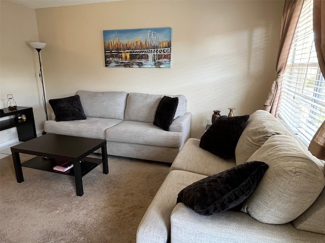 living area featuring carpet floors