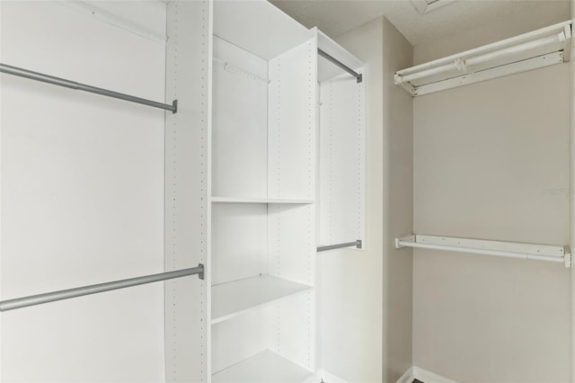 view of spacious closet