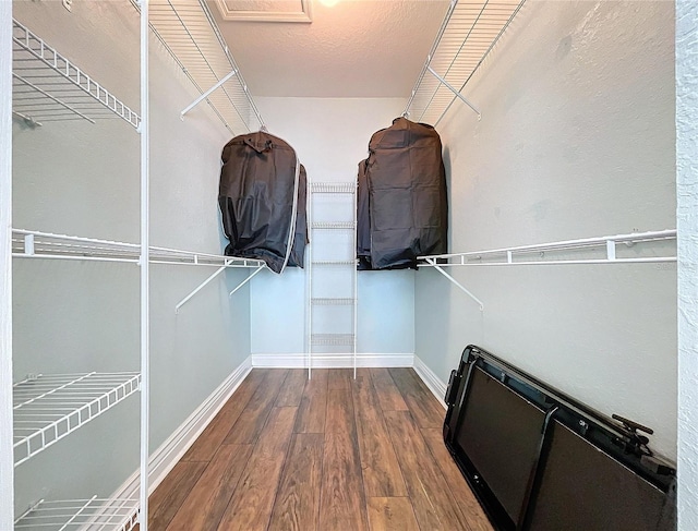 spacious closet featuring hardwood / wood-style flooring