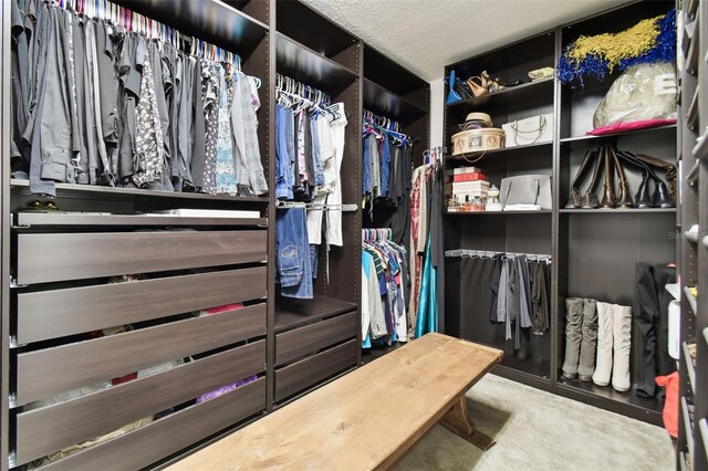 spacious closet featuring carpet floors