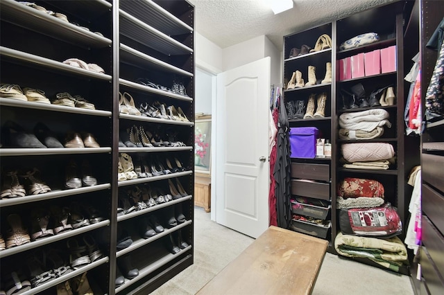 spacious closet with carpet