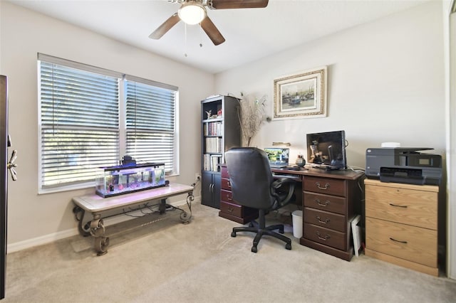 carpeted office featuring ceiling fan