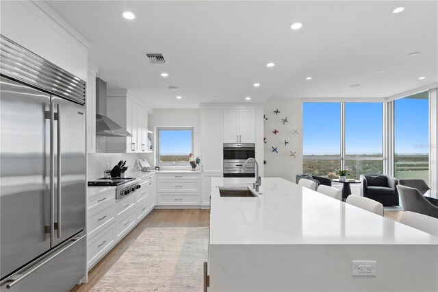 kitchen featuring wall chimney exhaust hood, sink, stainless steel appliances, and a wealth of natural light