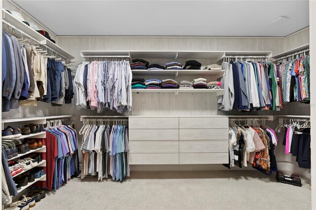 spacious closet with light carpet