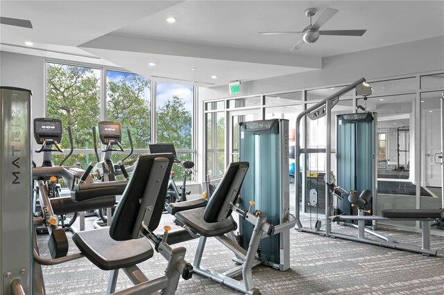 workout area featuring carpet, ceiling fan, and floor to ceiling windows