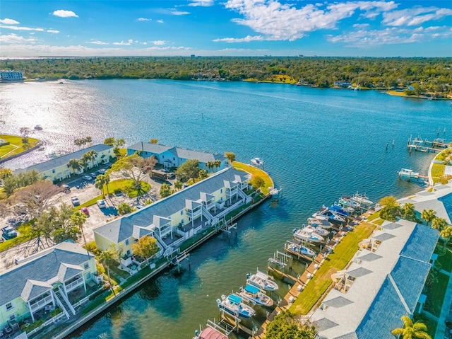 drone / aerial view with a water view