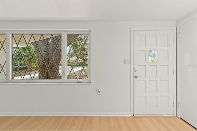 foyer entrance featuring a healthy amount of sunlight and wood-type flooring