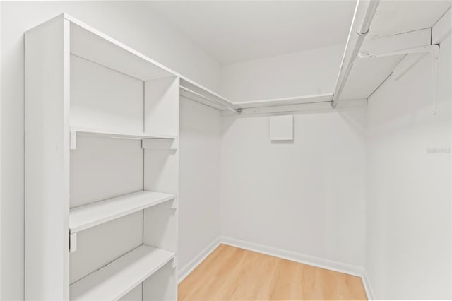 spacious closet with hardwood / wood-style floors