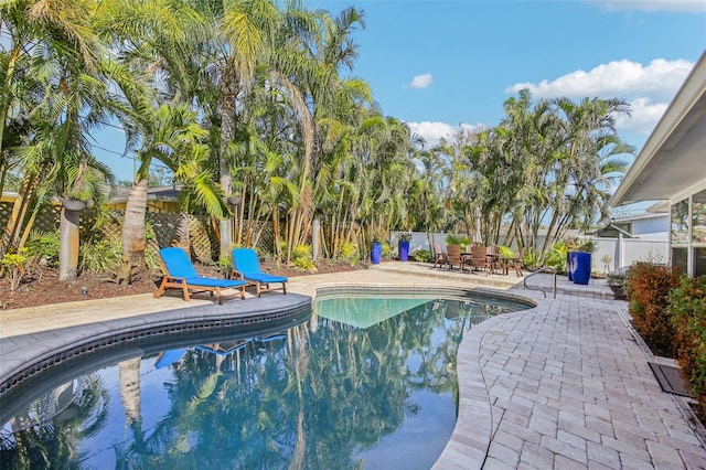 view of swimming pool with a patio