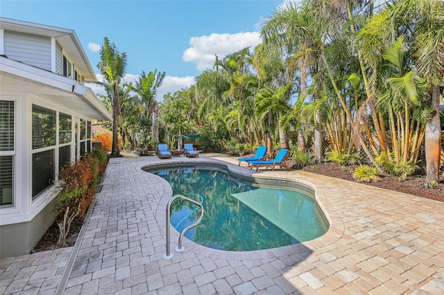 view of swimming pool featuring a patio