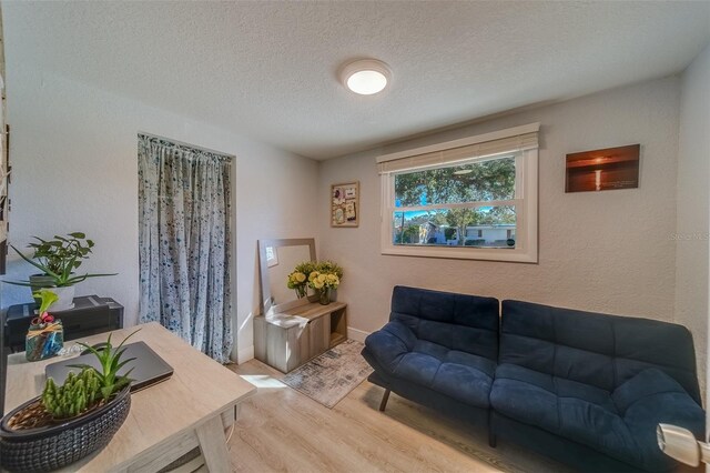 living room with light hardwood / wood-style floors and a textured ceiling