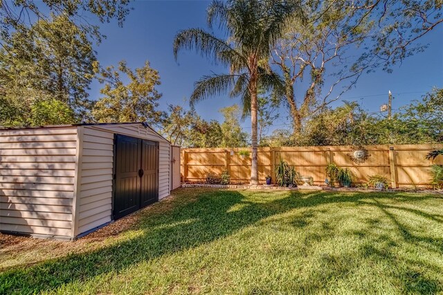 view of yard featuring a shed