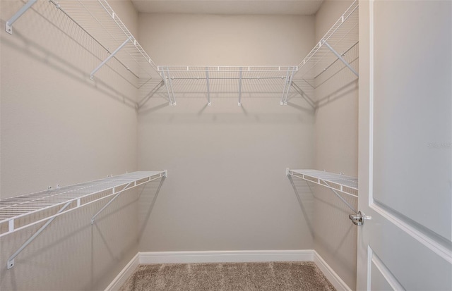 spacious closet with carpet