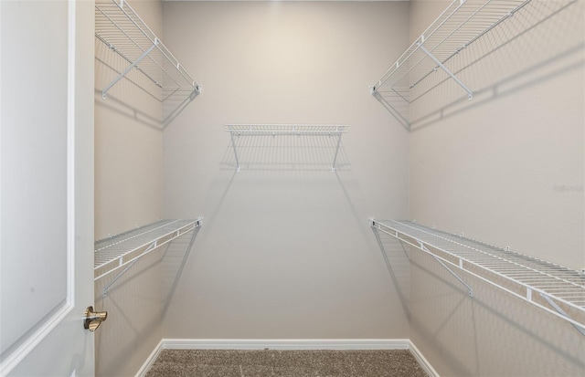 walk in closet with carpet