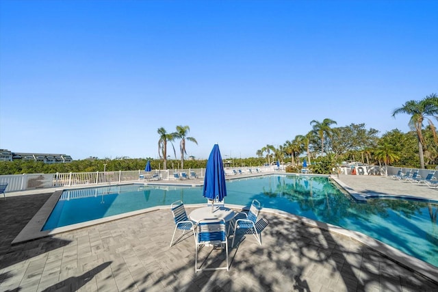 view of pool featuring a patio