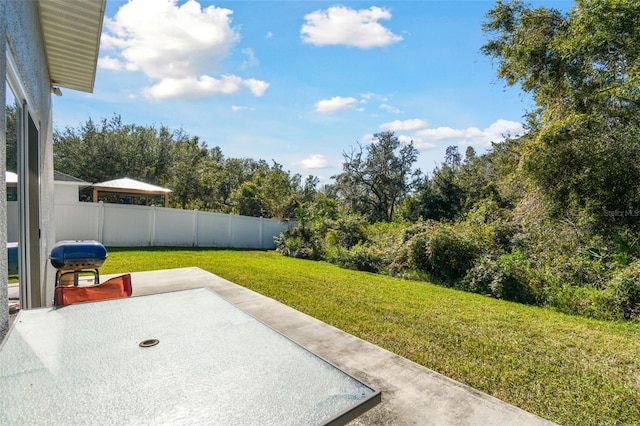 view of yard with a patio area