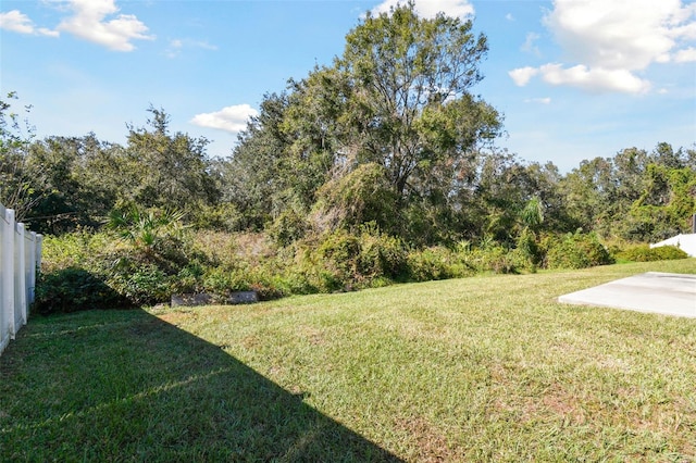 view of yard with a patio