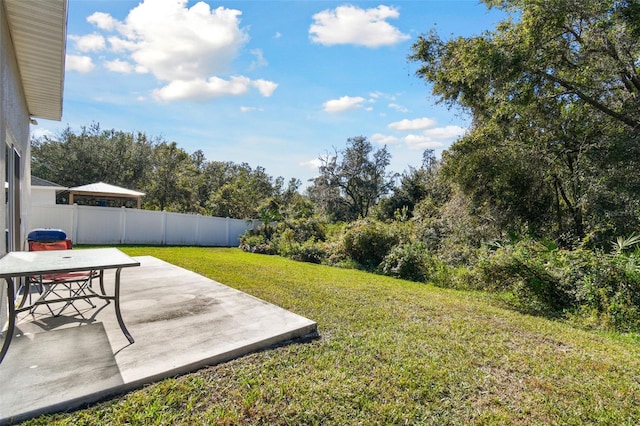 view of yard featuring a patio area