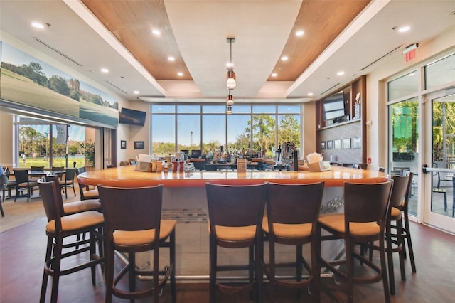 bar featuring a tray ceiling and plenty of natural light