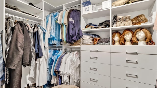 view of spacious closet