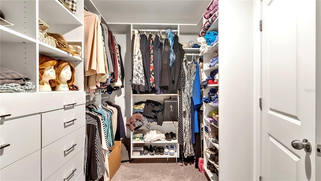 spacious closet with light colored carpet