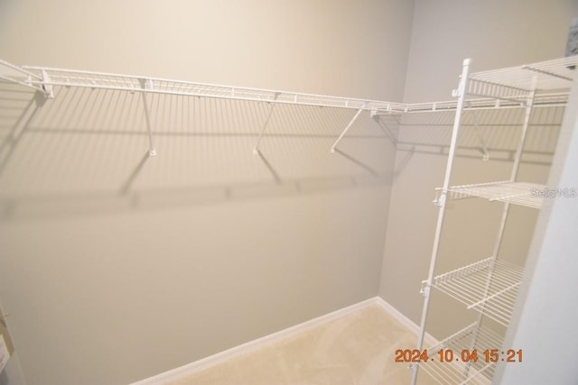 504 Maple Pointe Dr, Seffner, FL 33584 - view of spacious closet