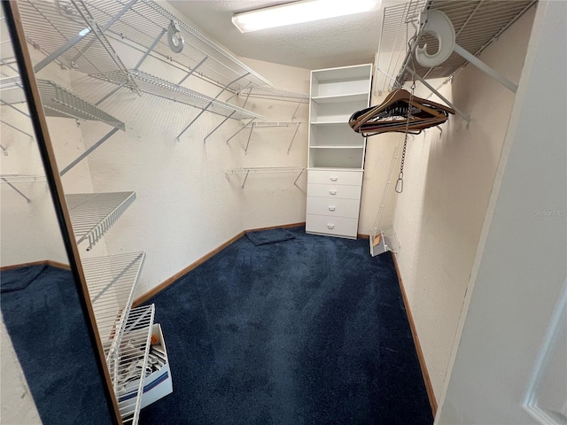 spacious closet with carpet flooring