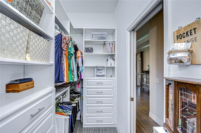 spacious closet featuring dark hardwood / wood-style flooring