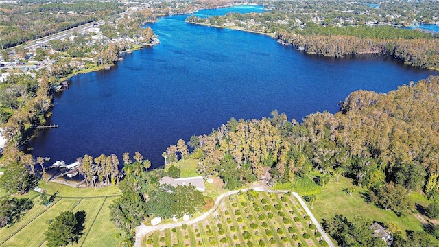 drone / aerial view with a water view